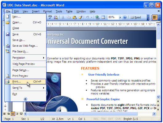    pdf  word 